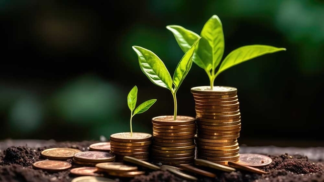 About Moms Investment